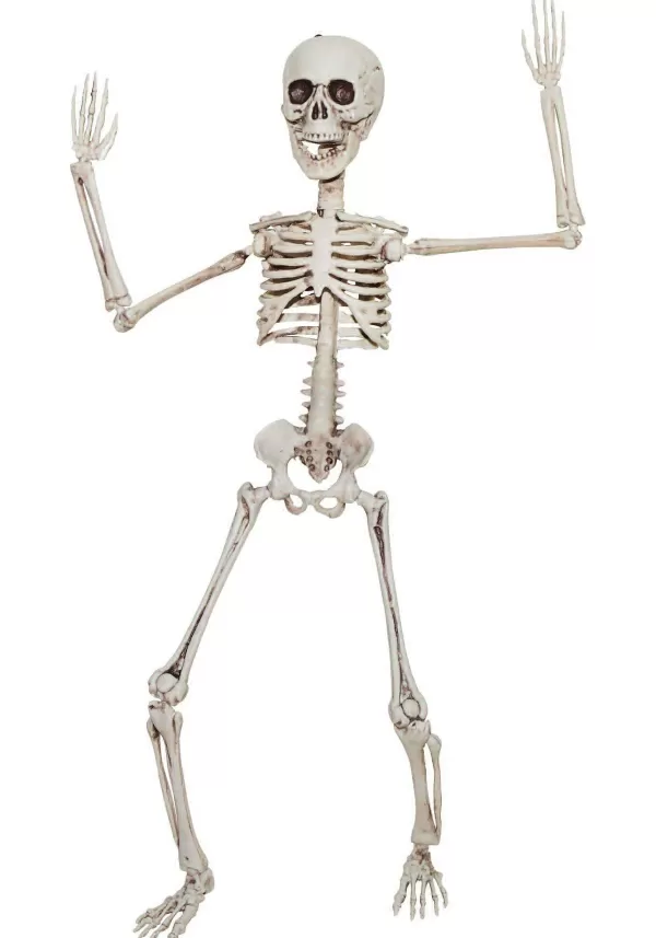 Online 20 Inch Poseable Skeleton Decoration Halloween Props