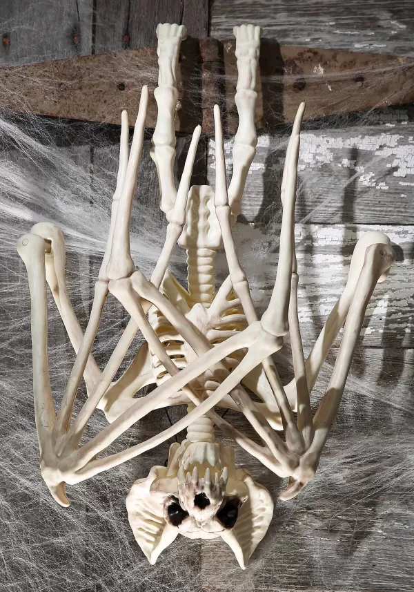 Cheap 36'' Nocturnal Bat Skeleton Halloween Props