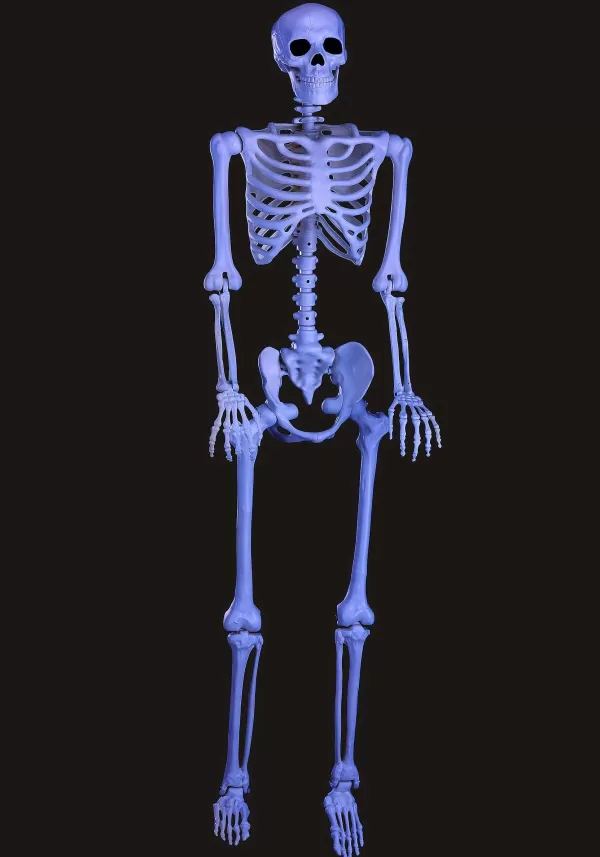 Shop 60 Inch Blacklight Ghostly Skeleton Halloween Prop Halloween Props