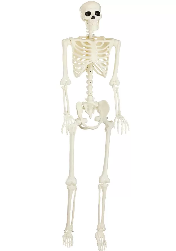 Shop 60 Inch Blacklight Ghostly Skeleton Halloween Prop Halloween Props