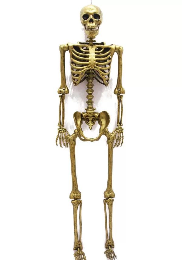 Sale 60 Inch Gold Life Size Posable Skeleton Prop Indoor Decorations