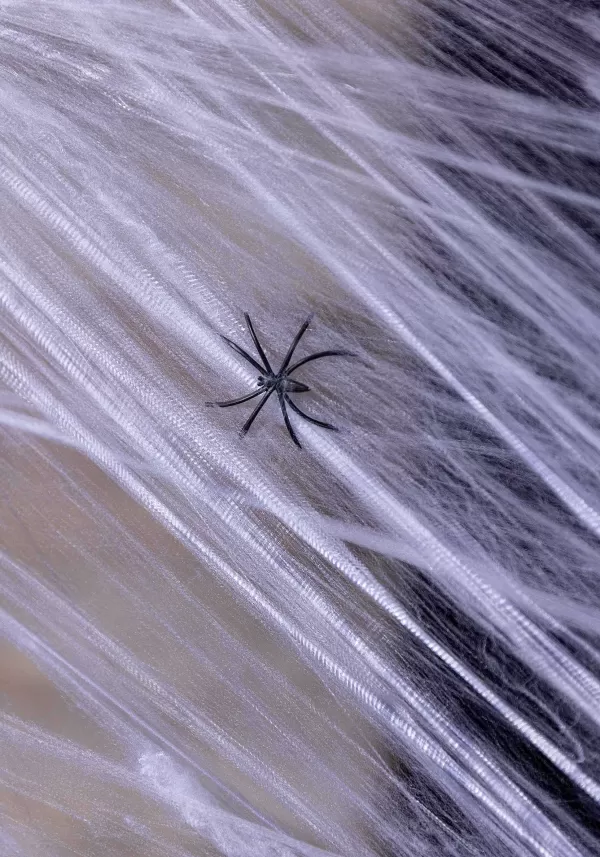 Online 800 Square Ft White Spider Web Halloween Decoration Indoor Decorations