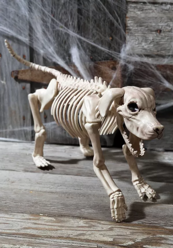 Outlet Beagle Bonez 20 Inch Skeleton Dog Decoration Indoor Decorations