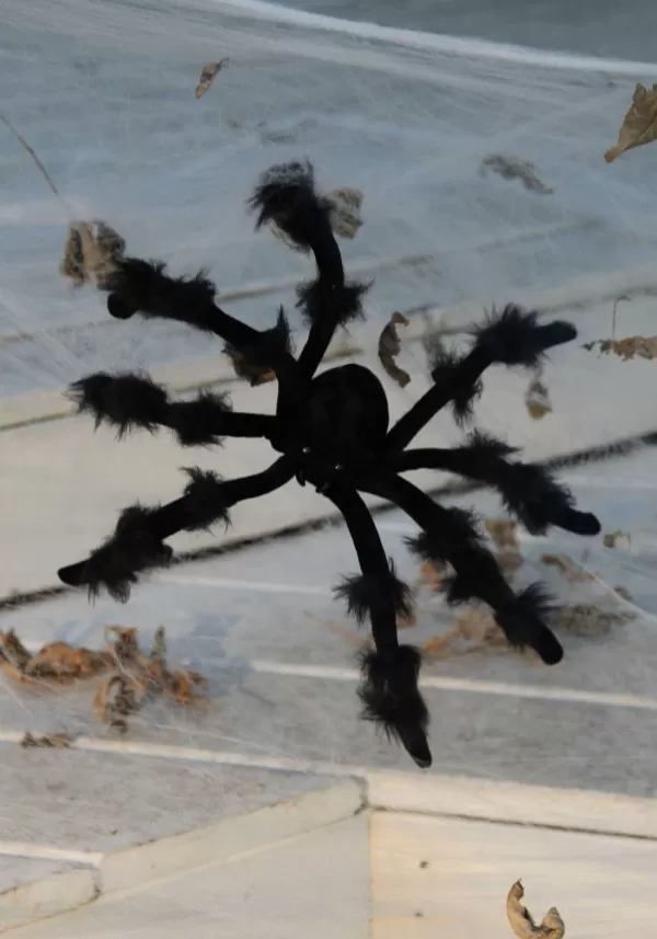 Best Black Poseable 20-Inch Spider Prop Halloween Props