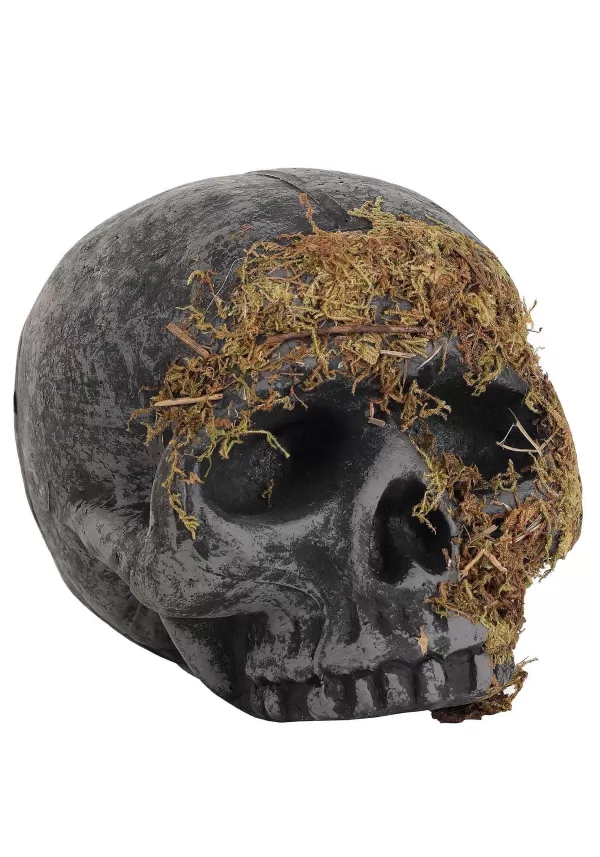 Shop Moss Covered Skull Halloween Decoration Halloween Props