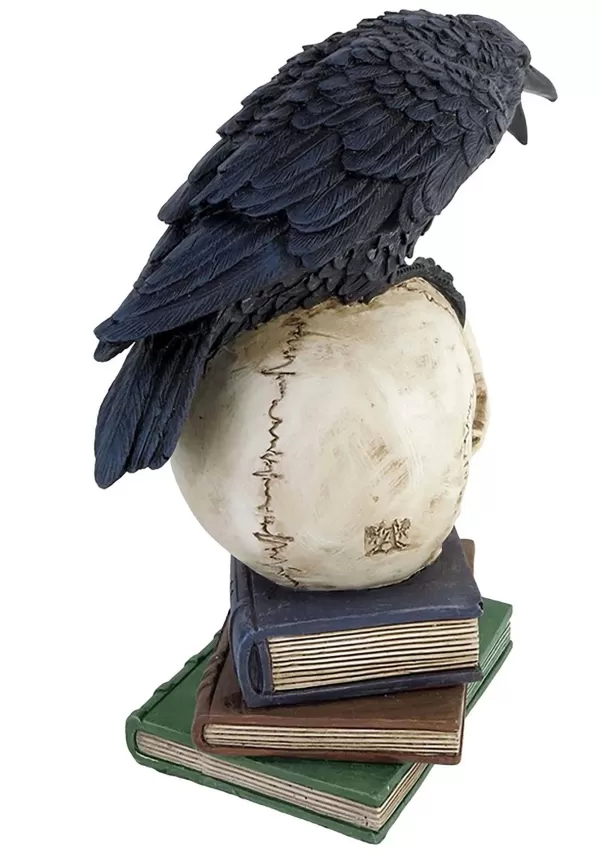 Hot Poe'S 8" Raven Skull Decoration Indoor Decorations