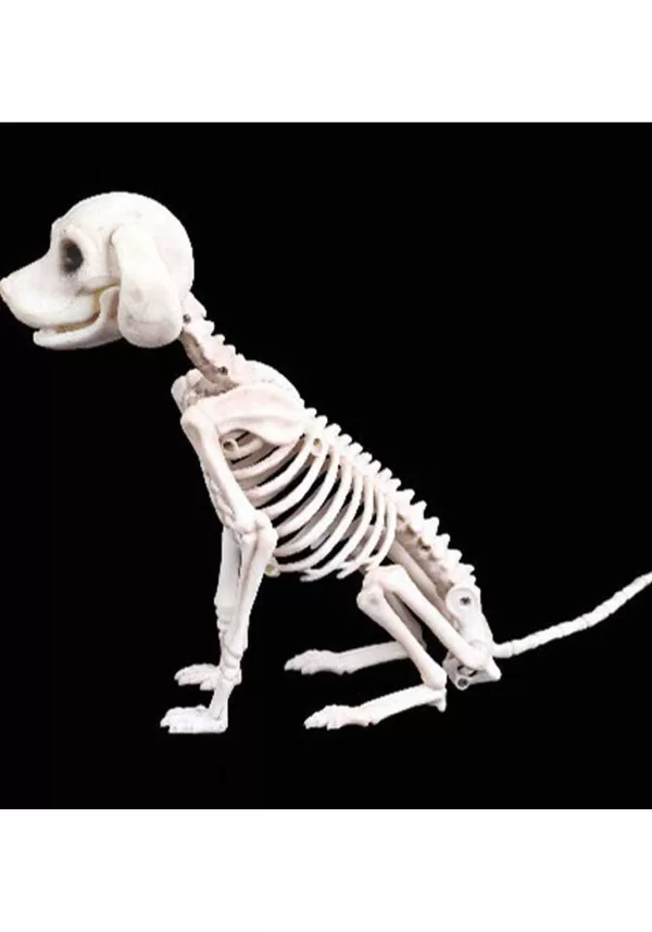 Discount Sitting 7.5 Inch Puppy Skeleton Decoration Halloween Props