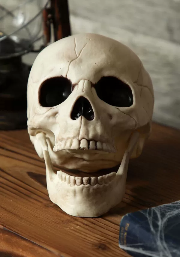 Online Skull With Movable Jaw Halloween Props