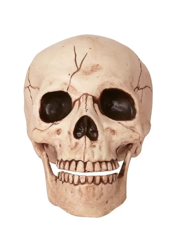 Online Skull With Movable Jaw Halloween Props